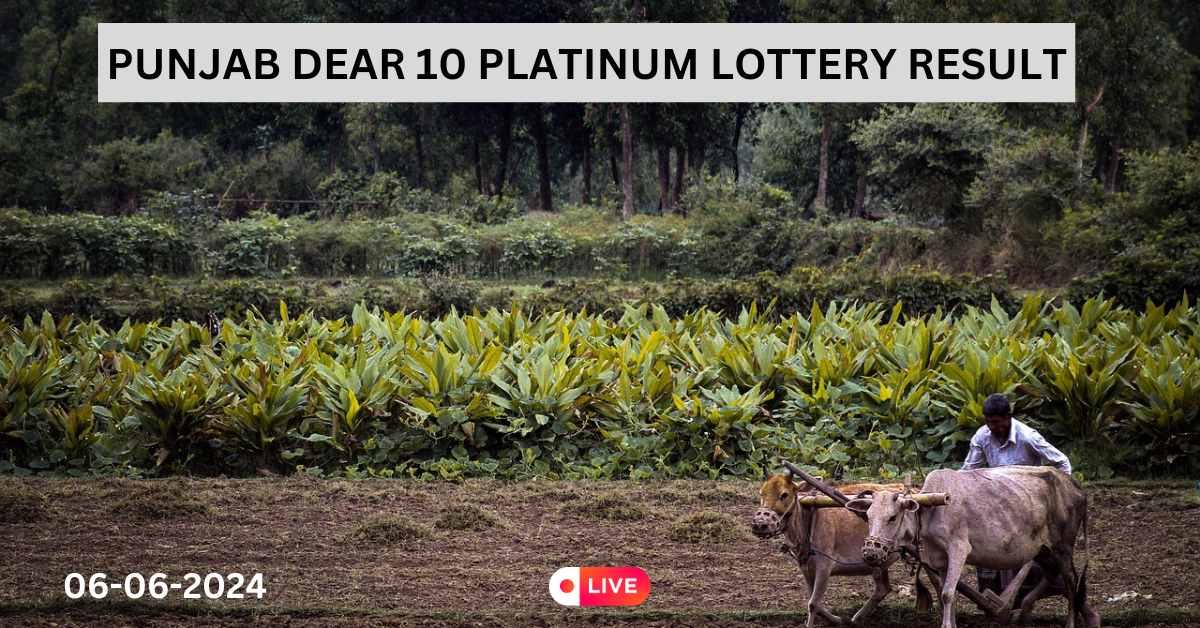 DEAR 10 PLATINUM WEEKLY LOTTERY RESULT